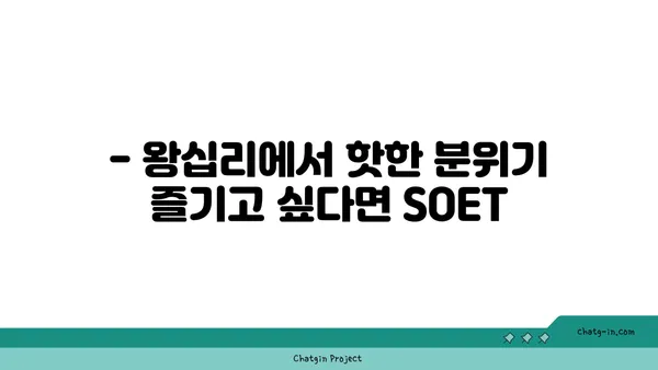 왕십리 술집 핫플레이스 SOET 소엣 한양대술집: 분위기 맛집