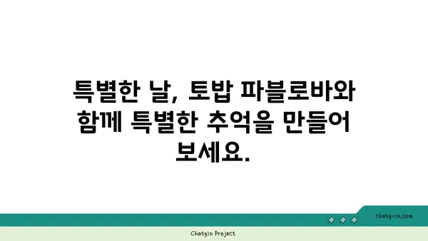토밥 파블로바: 호주 국민 디저트 파블로바 맛집, 서울 핫플레이스