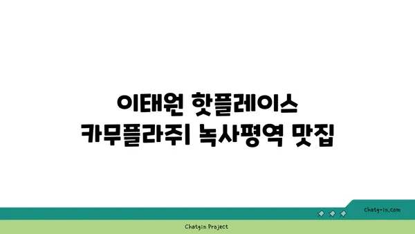 이태원 핫플레이스 카무플라주: 녹사평역 맛집