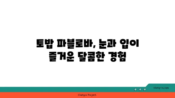 토밥 파블로바: 호주 국민 디저트 파블로바 맛집, 서울 핫플레이스