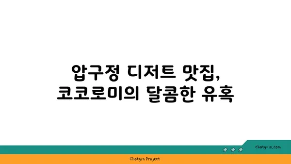 압구정 맛집 디저트: 코코로미 핫플레이스