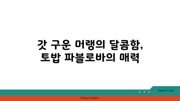 토밥 파블로바: 호주 국민 디저트 파블로바 맛집, 서울 핫플레이스