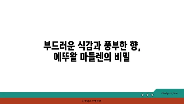 서울 마들렌 핫 플레이스: 에뚜왈 가로수길 디저트 맛집 발견