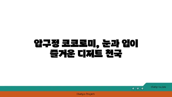 압구정 맛집 디저트: 코코로미 핫플레이스