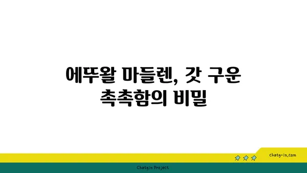 마들렌 핫플레이스: 에뚜왈 가로수길 디저트 맛집