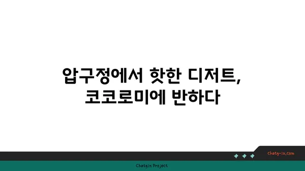 압구정 맛집 디저트: 코코로미 핫플레이스