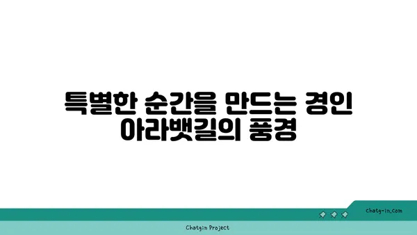 경인 아라뱃길의 산책자전거와 커플자전거 데이트