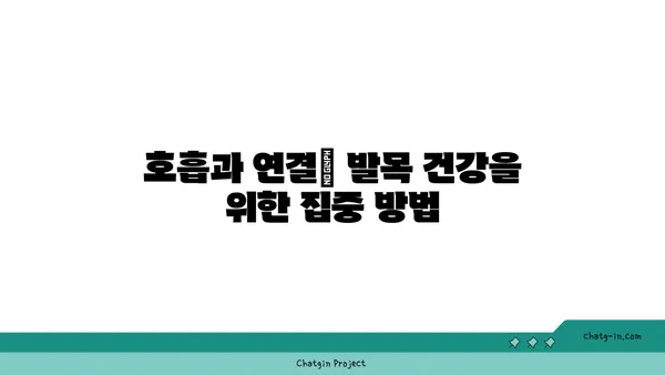 발목 건강을 위한 요가 명상법 가이드
