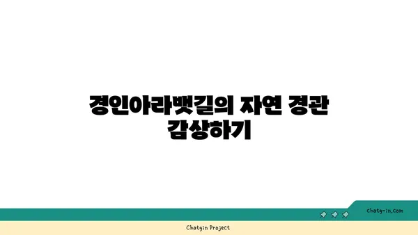 경인아라뱃길 자전거 라이딩 버킷리스트