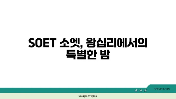 왕십리 술집 핫플레이스: SOET 소엣