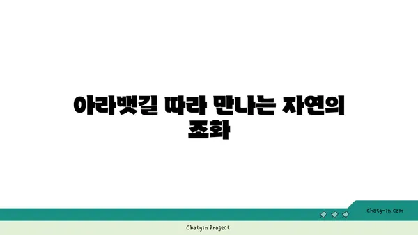 가을의 자전거 잔치: 탄천, 한강, 아라뱃길을 거니다
