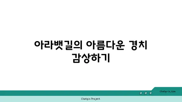아라타워에서 아라뱃길까지 자전거 라이딩