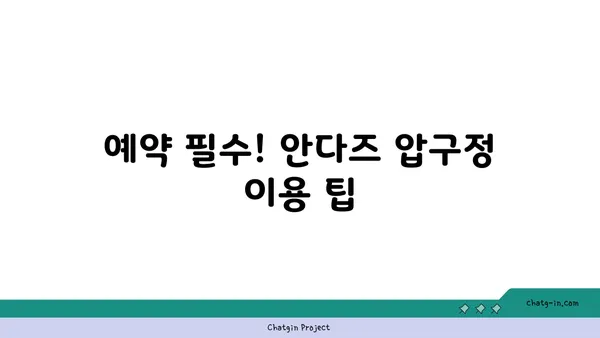 안다즈 압구정 핫플레이스: 실내 데이트 예약