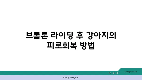 강아지와 함께하는 브롬톤 아라뱃길 라이딩