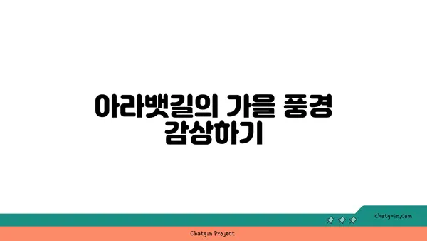 가을철 아라뱃길 라이딩 추천 코스