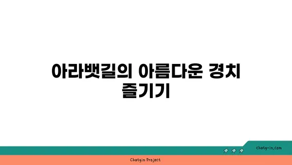 아라뱃길 자전거 대여 가이드: 검암역에서 편안하게 대여