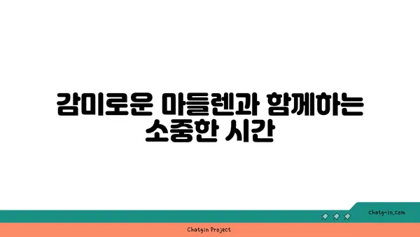 마들렌에서 감미로운 순간: 가로수길의 에뚜왈 맛집