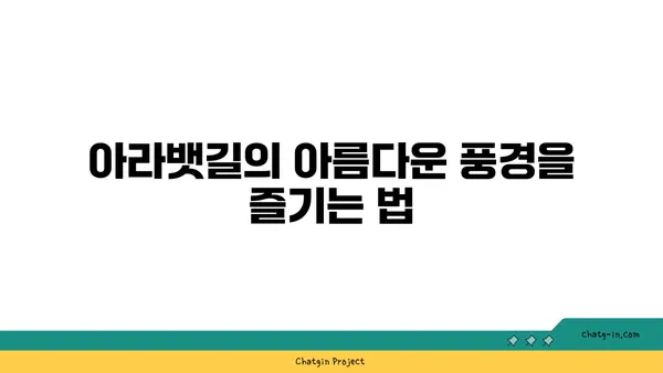 비도 막지 못하는 아라뱃길 라이딩의 매력