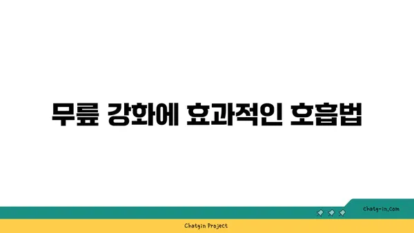 무릎 강화에 좋은 요가 스트레칭 루틴