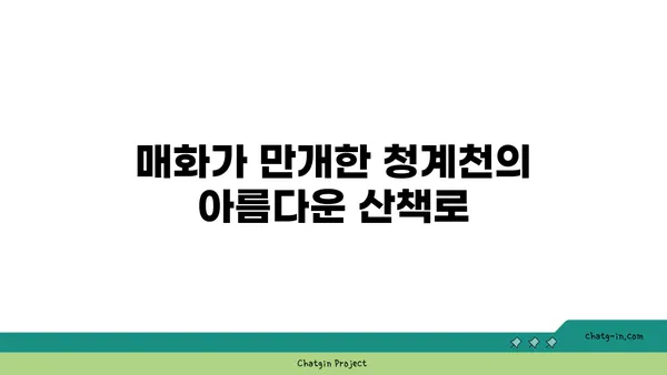 아라뱃길 라이딩과 청계천 매화
