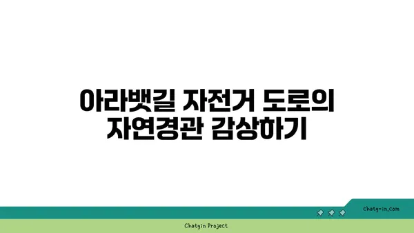 아라뱃길 자전거 타기: 스트레스 해소의 완벽한 방법