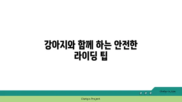 브롬톤과 함께 아라뱃길을 달리다: 강아지와 함께하는 라이딩