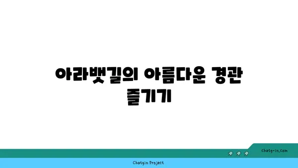 가족과 함께하는 아라뱃길 자전거 라이딩