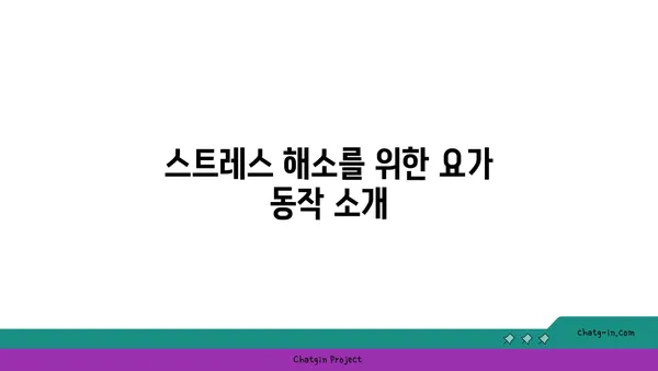 20대의 정신적 안정감을 위한 요가