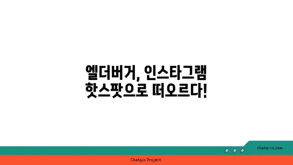 이영자도 반한 수제버거 핫플레이스, 엘더버거