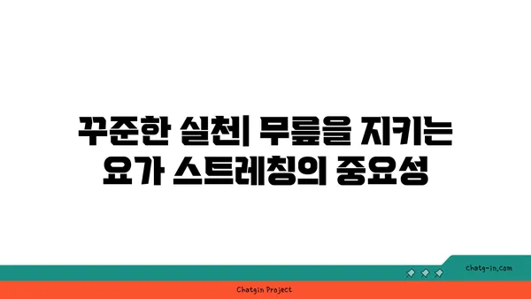 무릎 통증 예방을 위한 핫 요가 스트레칭