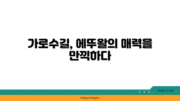마들렌에서 감미로운 순간: 가로수길의 에뚜왈 맛집