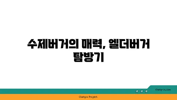 이영자도 반한 수제버거 핫플레이스, 엘더버거