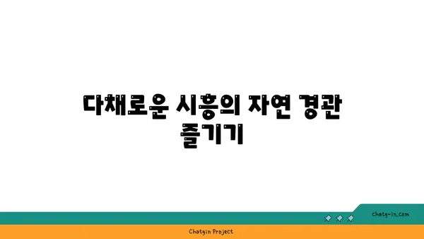 여기 한국 맞아? 이국적인 매력의 시흥 가볼 만한 곳 5