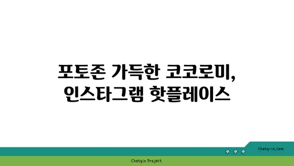 압구정 로데오 디저트 천국, 코코로미에서 달콤한 시간