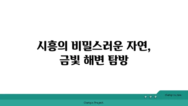 시흥 가볼 만한 곳 5곳: 이국적인 매력을 발견하세요