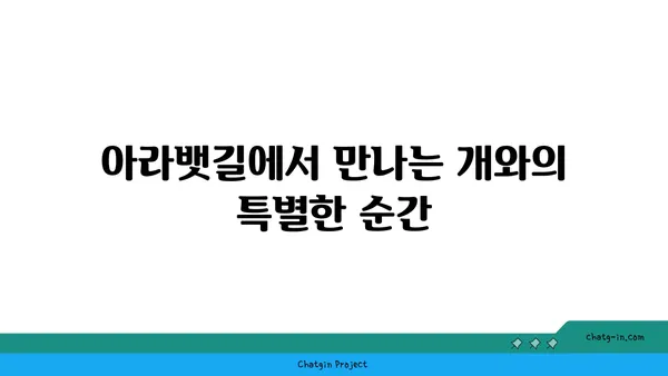 아라뱃길에서 자전거를 타는 동안 개를 데리고 다니기