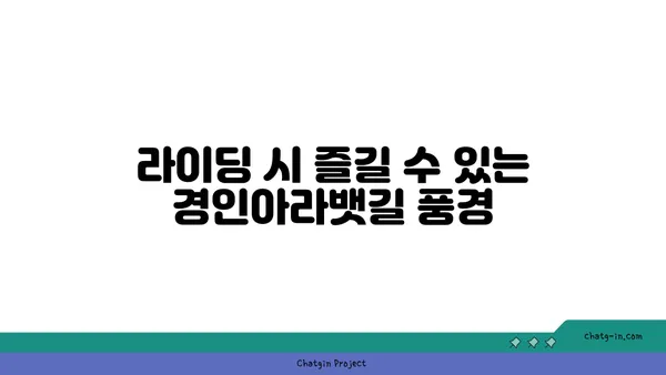 경인아라뱃길에서의 자전거 라이딩 경험 공유