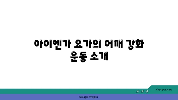 어깨 건강을 위한 아이엔가 요가 도구 사용법