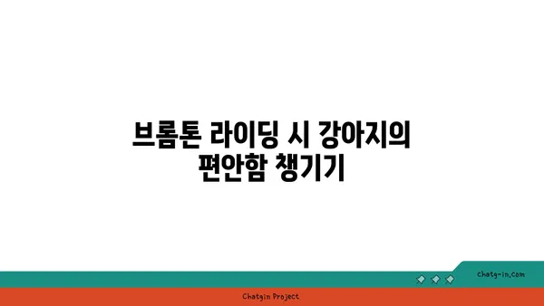 강아지와 함께 브롬톤 아라뱃길 라이딩