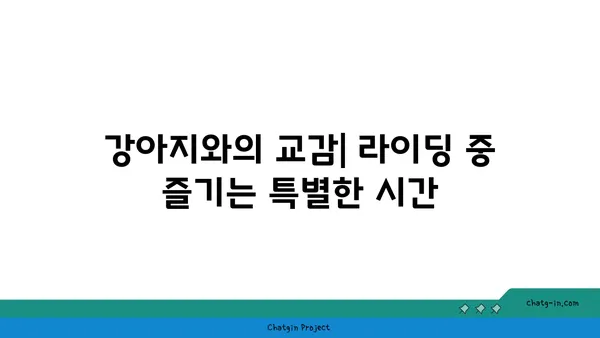 강아지와 함께하는 아라뱃길 라이딩: 브롬톤 바구니에서의 모험