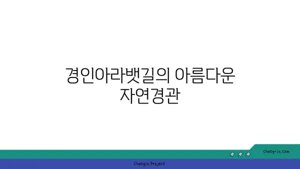 경인아라뱃길 자전거 라이딩의 즐거움