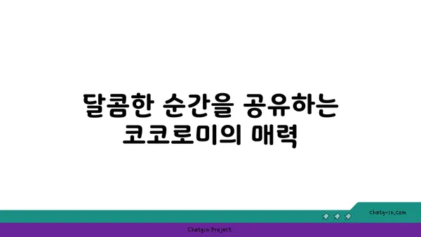 압구정 로데오 디저트 천국, 코코로미에서 달콤한 시간