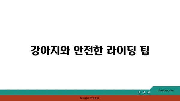 강아지와 함께 브롬톤으로 아라뱃길 라이딩