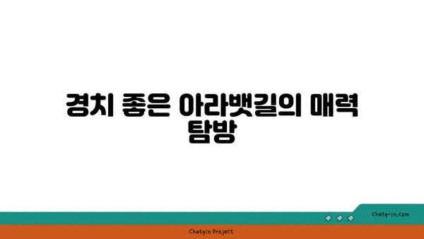 아라뱃길 자전거 도전: 건강과 모험의 조화