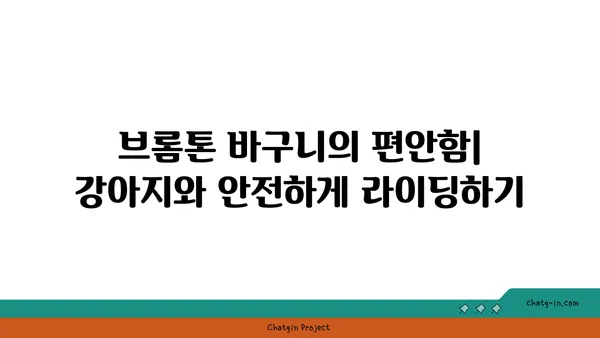 강아지와 함께하는 아라뱃길 라이딩: 브롬톤 바구니에서의 모험