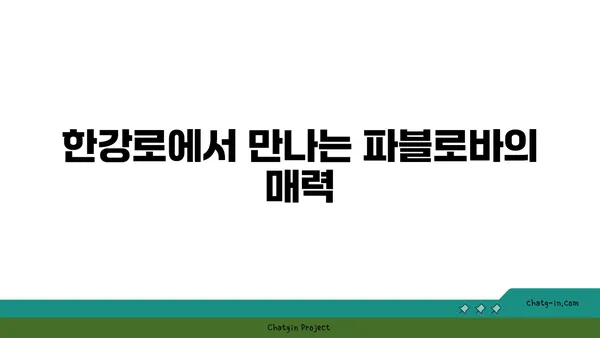 한강로 핫플레이스: 파블로바 호주 국민 디저트 맛집