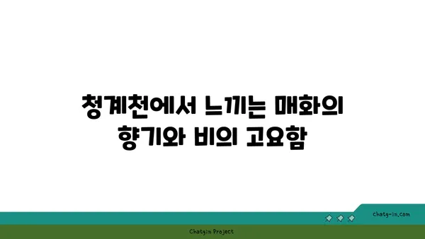 비를 맞으며 아라뱃길 라이딩: 청계천 매화 향기 속으로