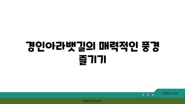 경인아라뱃길 정서진아라뱃길전망대 라이딩