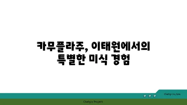 이태원 녹사평역 맛집: 카무플라주