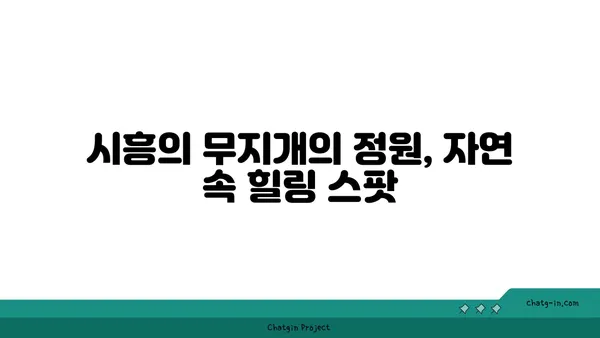 여기는 한국 맞아? 시흥의 이국적 매력, 꼭 가봐야 할 곳 5선